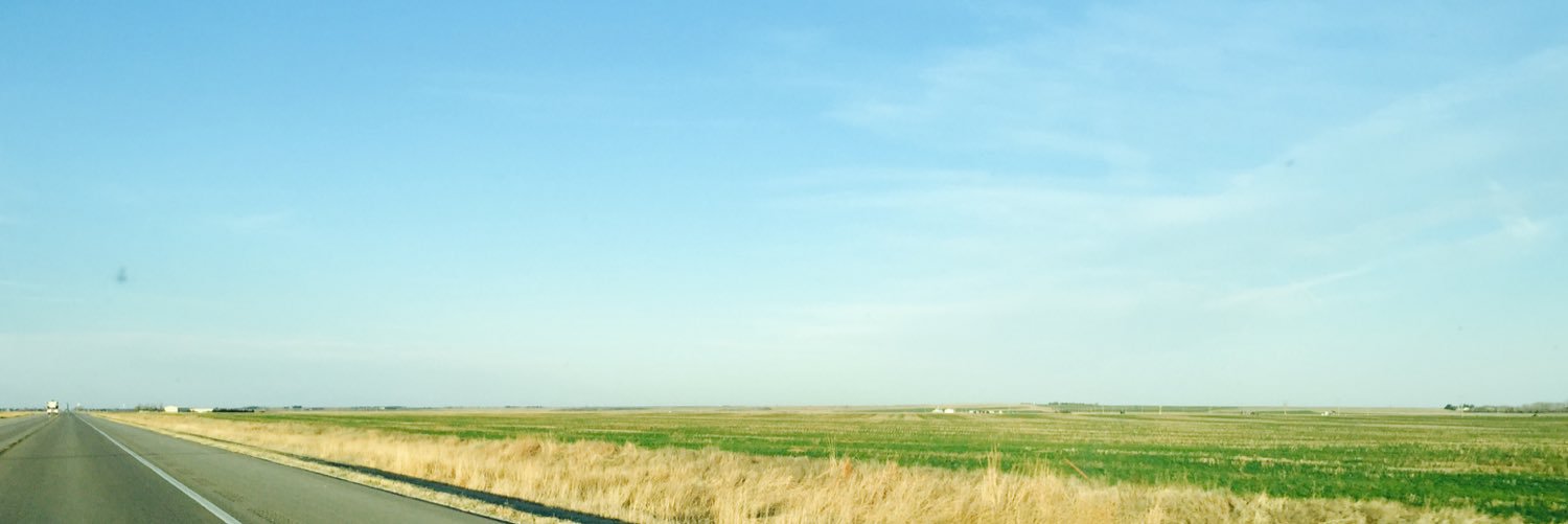 AshleaNoonan's profile banner image