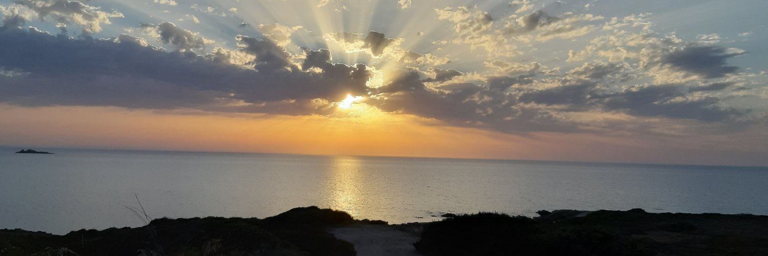 Chris Amsinger banner