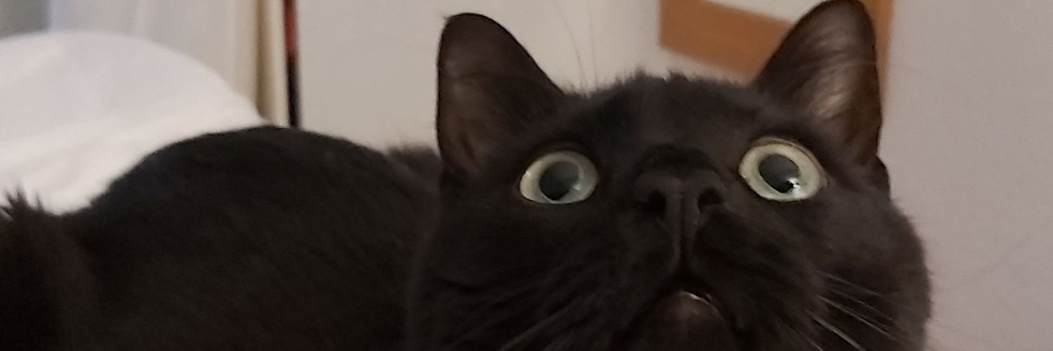 mongoflisan's profile banner image