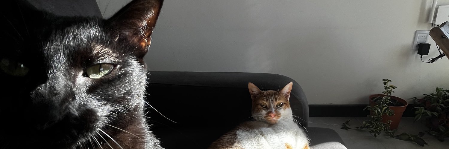 feerjaime's profile banner image