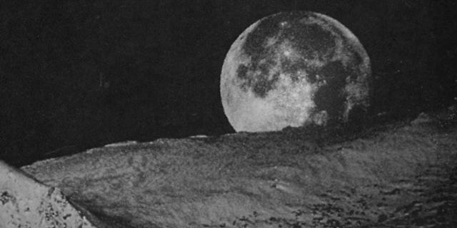 __stefie's profile banner image