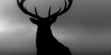 rhamzus's profile banner image