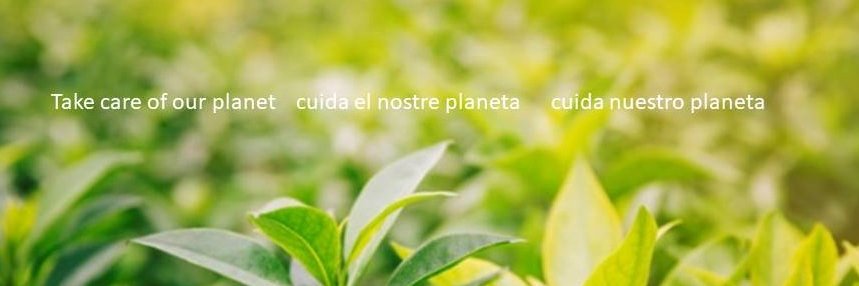 catalinaborras's profile banner image