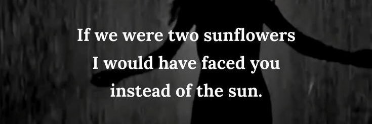 Sophia ♥️ 🌺 banner