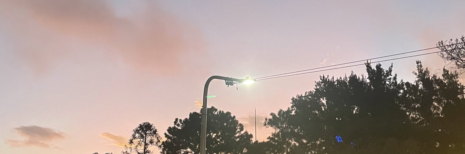 eloisaalykaa's profile banner image