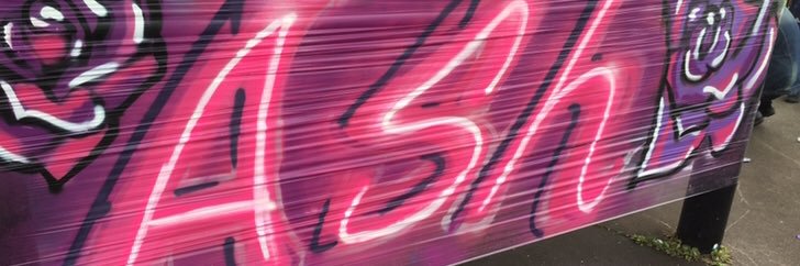 Ashley_Mayer_'s profile banner image