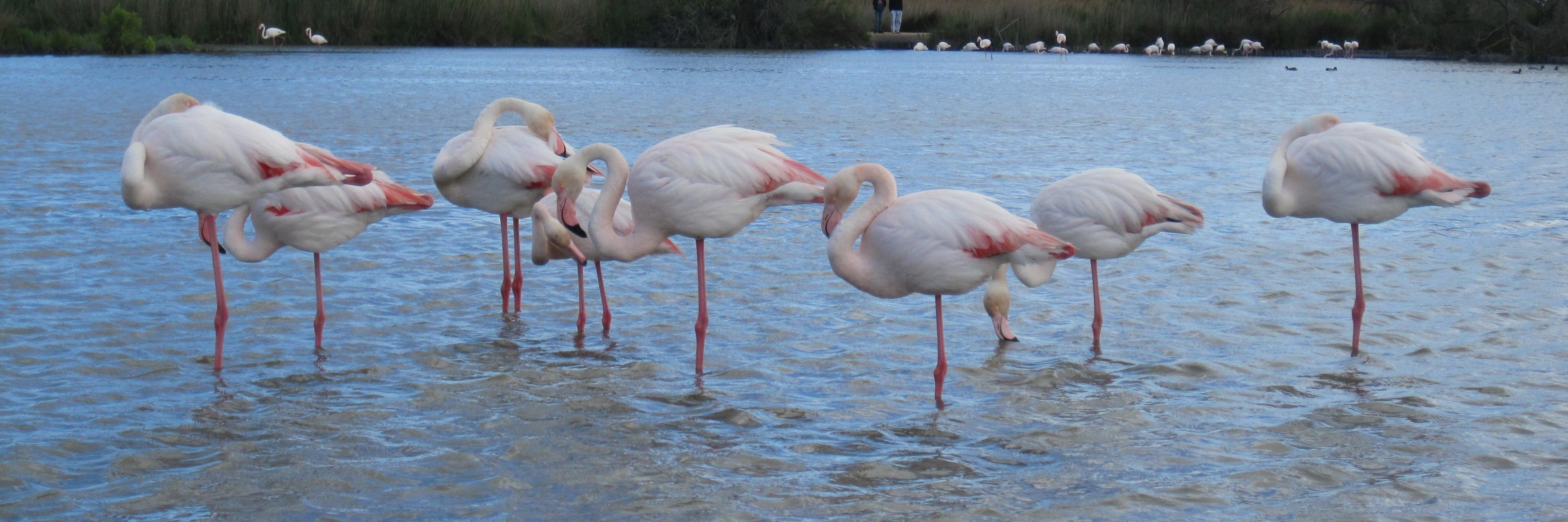 Stefano Parola banner