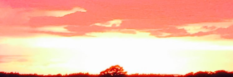 bobbymoore82's profile banner image