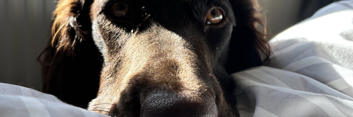 Flo_Abr's profile banner image