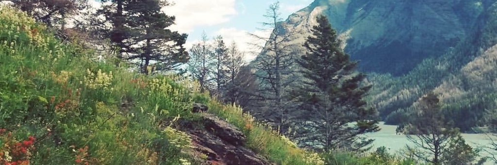 Court__S's profile banner image