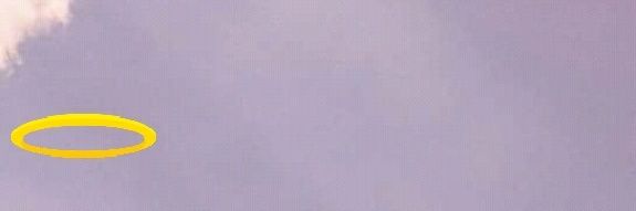 AngelWiki_'s profile banner image