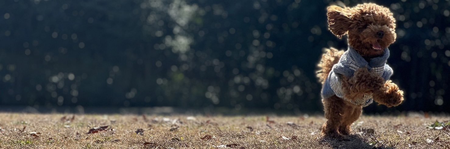 fanx2fun's profile banner image