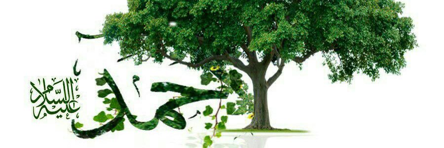 JavidKhandeh's profile banner image