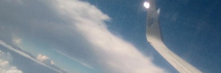 simplyloba's profile banner image
