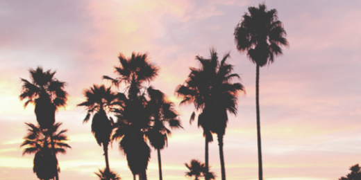 samdebora's profile banner image