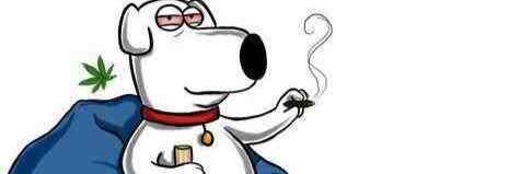 weedpollsdaily's profile banner image