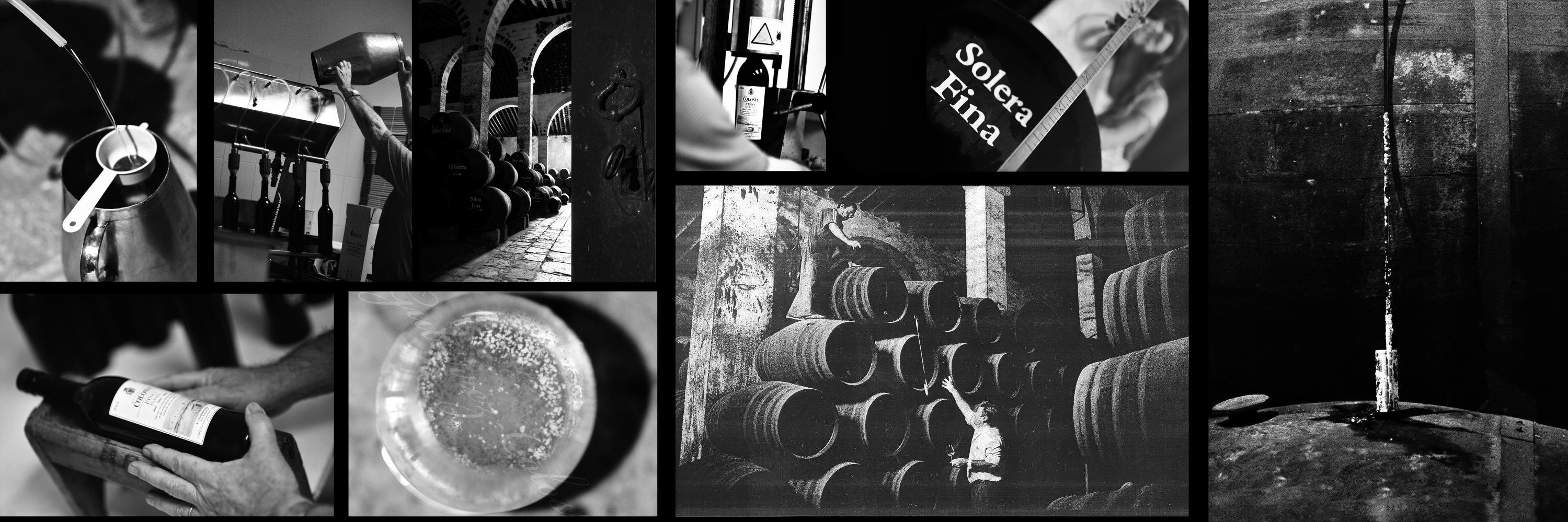 Gutiérrez-Colosía banner