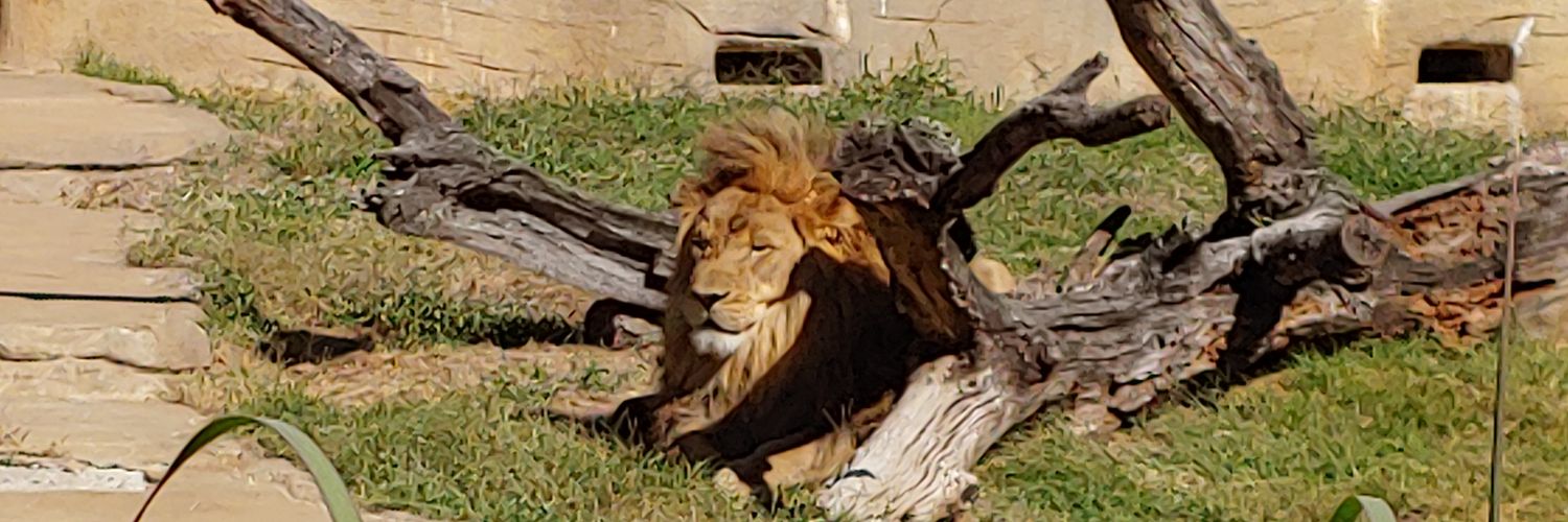 arkman69's profile banner image