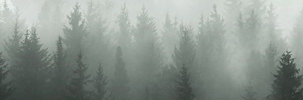 SSSH banner