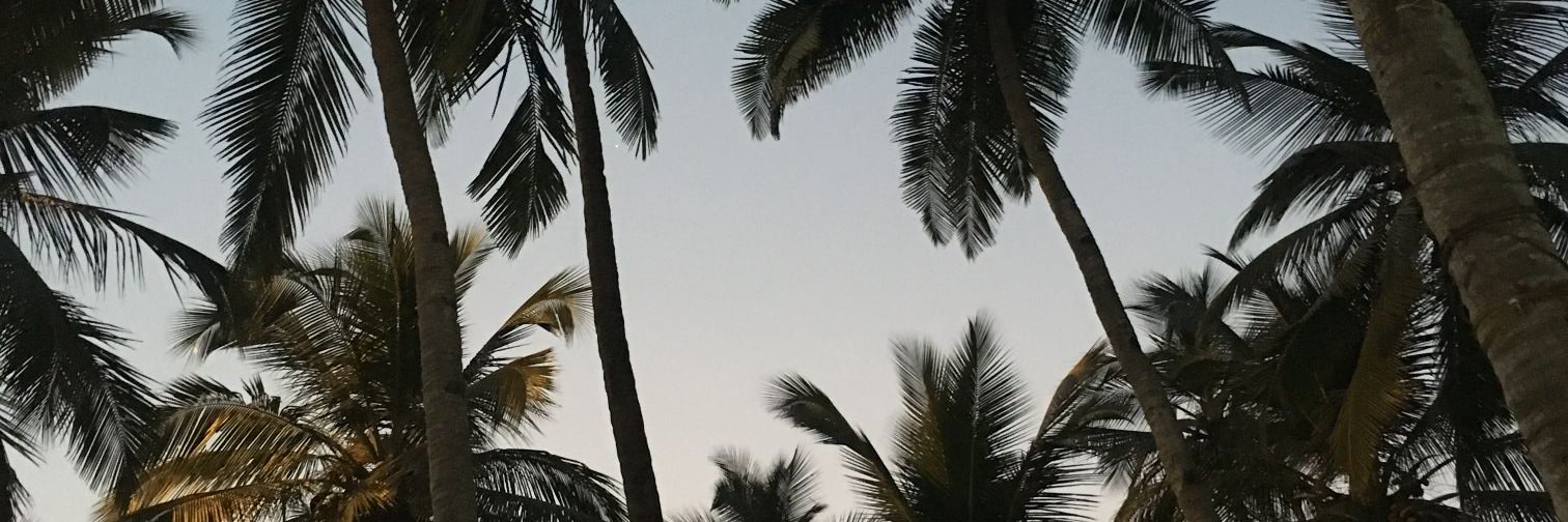naive_mannu's profile banner image