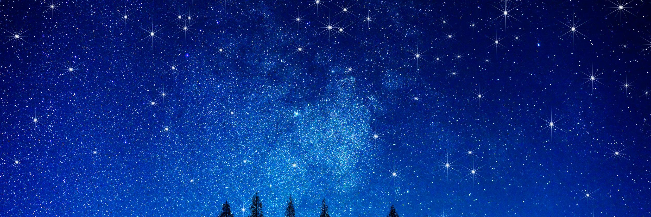 다잘될거야_봇 banner
