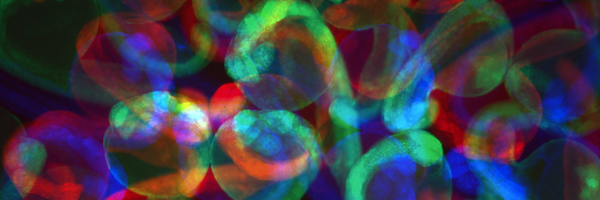 GiraldezLab Profile Banner