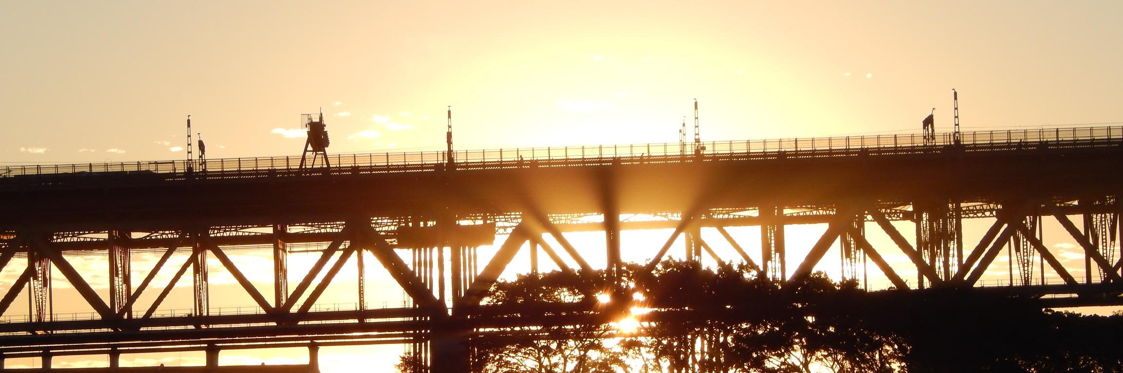 dledge's profile banner image