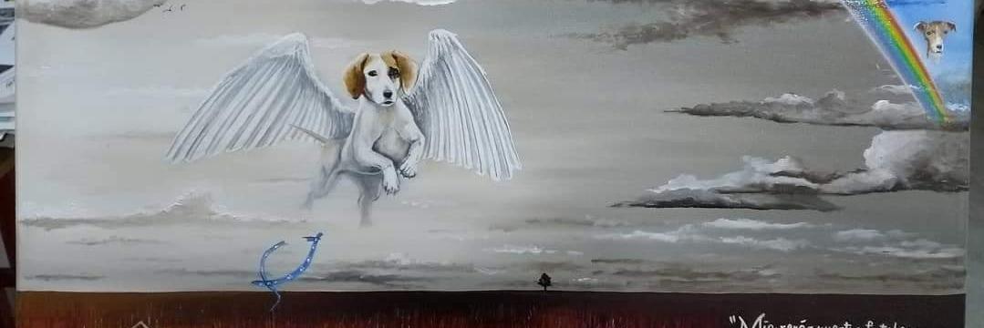 DiscasRodandoxLaVida banner