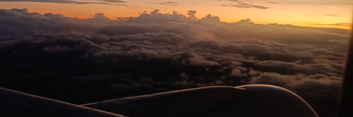 joeeeyann's profile banner image