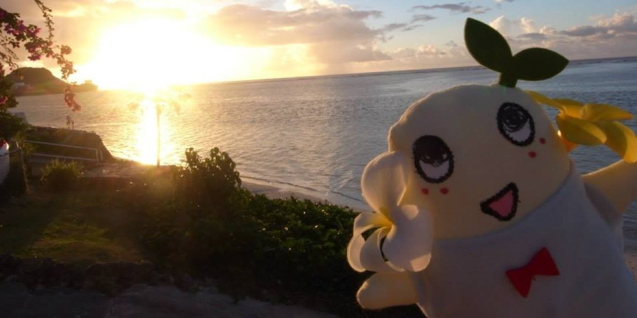 maicoconon's profile banner image