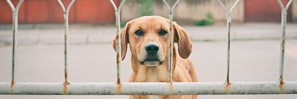 BudimirDj's profile banner image