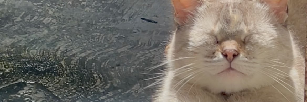 julisaxi's profile banner image