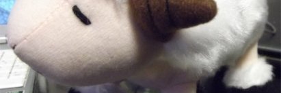 amisutoru's profile banner image