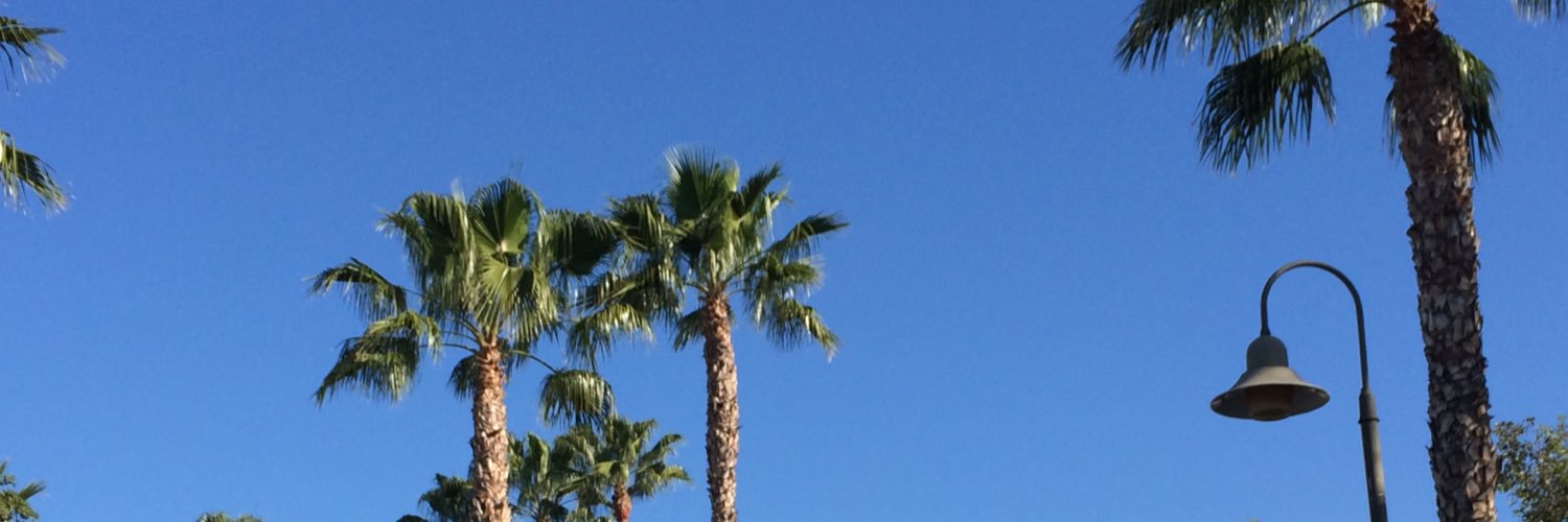 Lisa McTigue Pierce banner