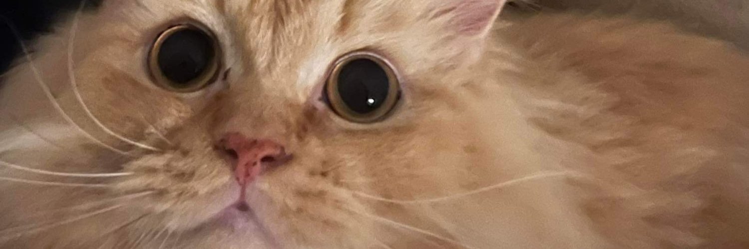 izavetsin's profile banner image