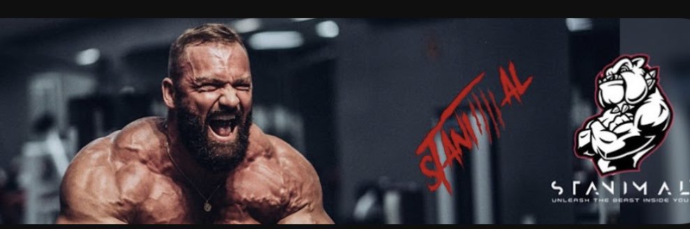 Stanimal9's profile banner image