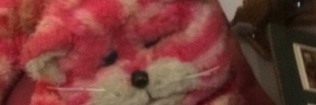chimpcat's profile banner image