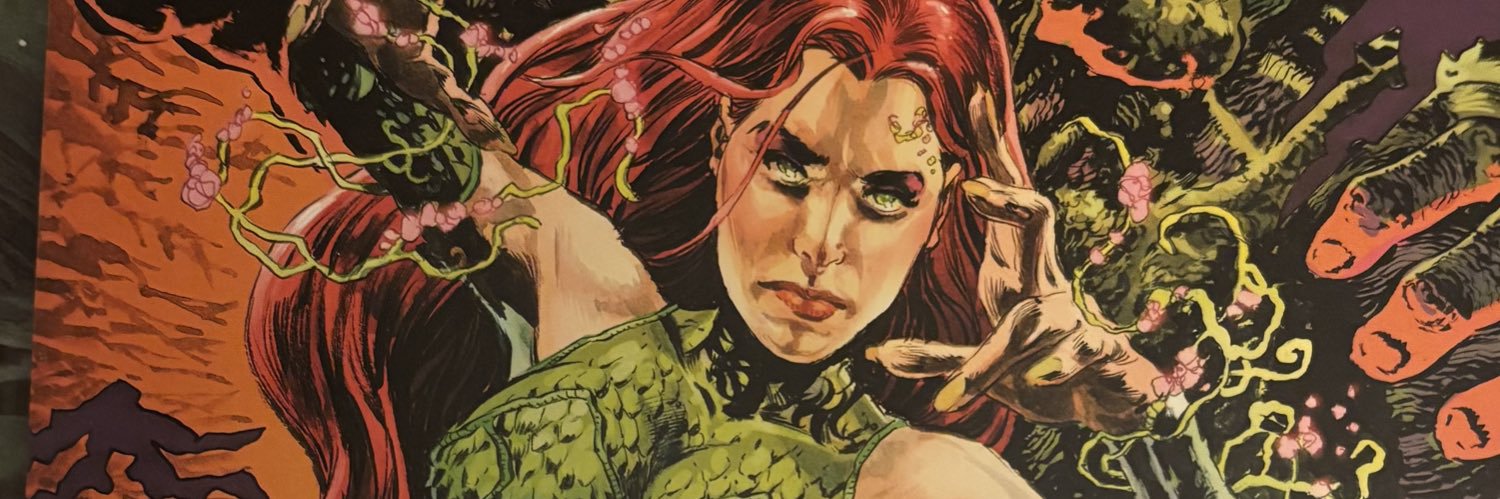 Lesley WhoDat banner