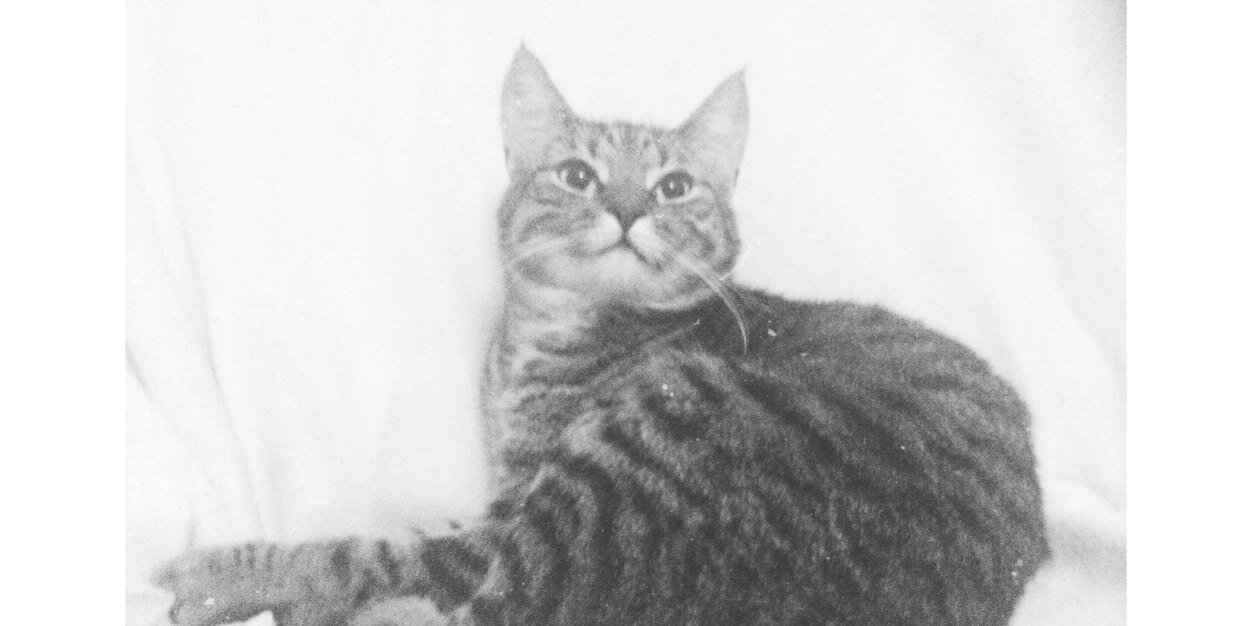 kompetten's profile banner image
