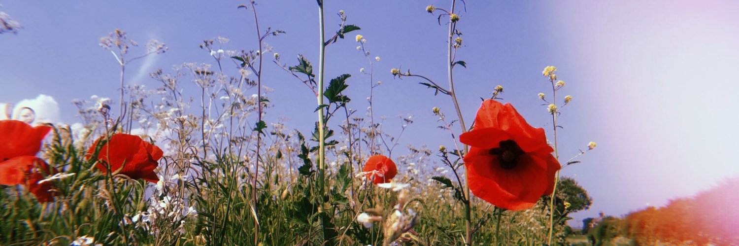 sjcw_'s profile banner image