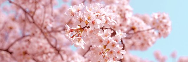 ModenaBimbi Profile Banner