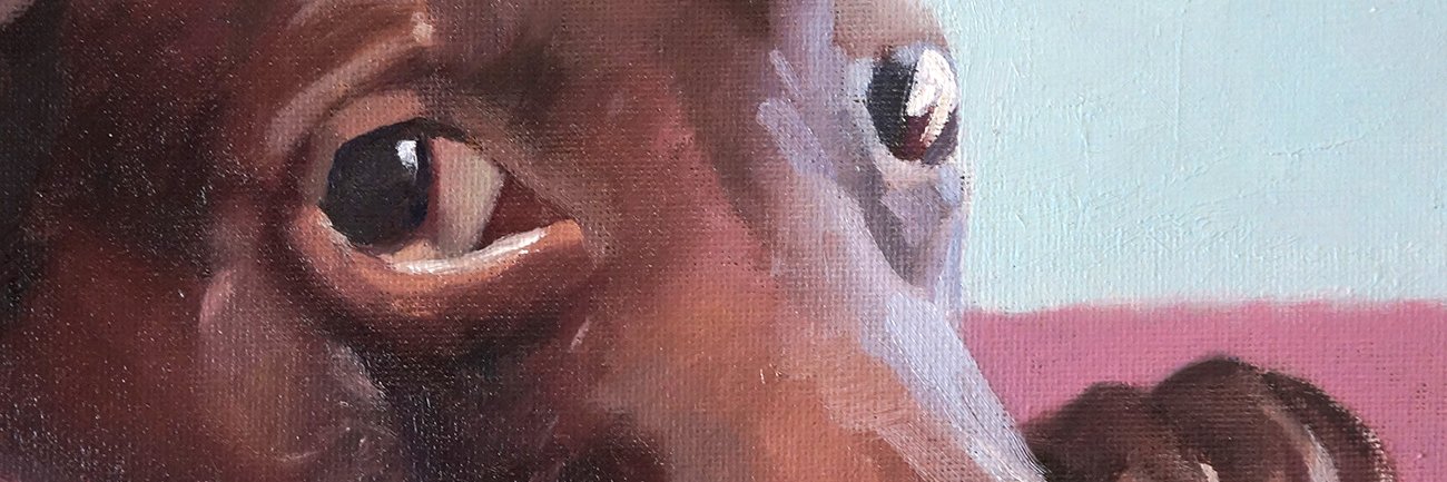 FurFame's profile banner image
