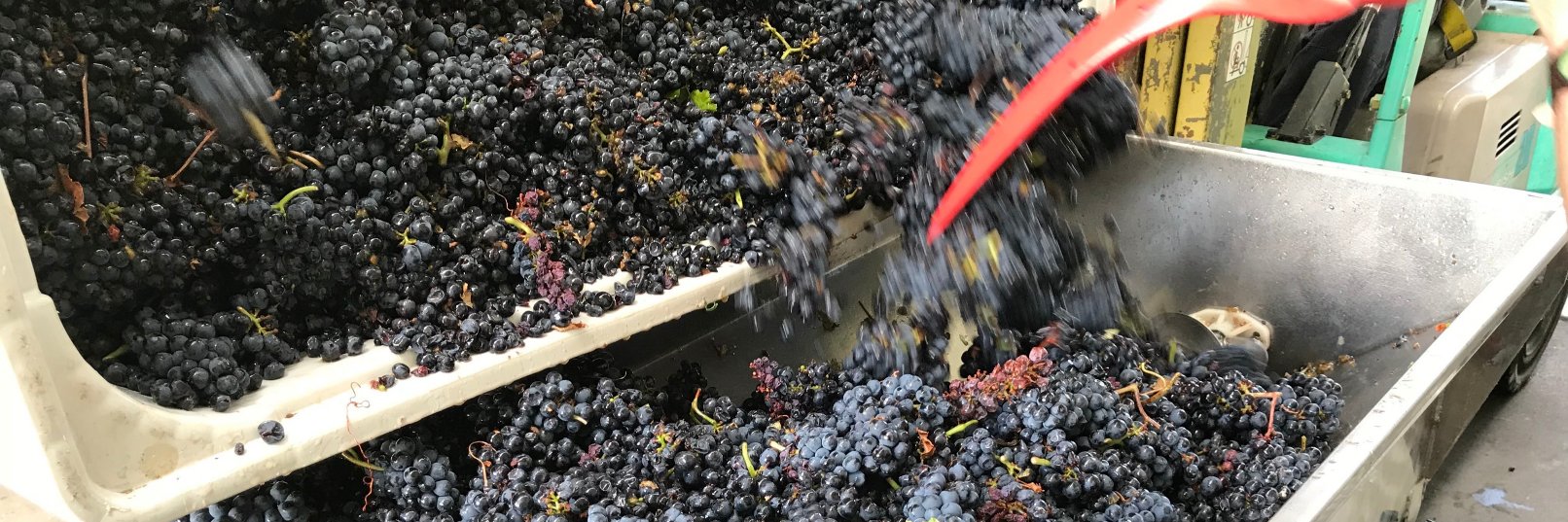 DollInABoxWines's profile banner image