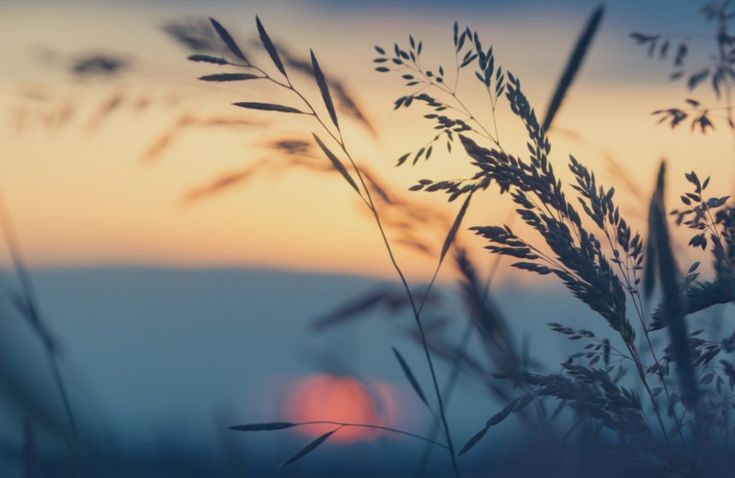 830_a's profile banner image