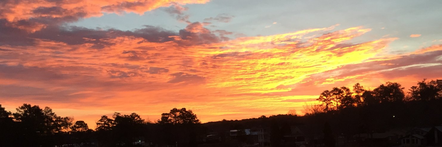 Robert Hartwig banner