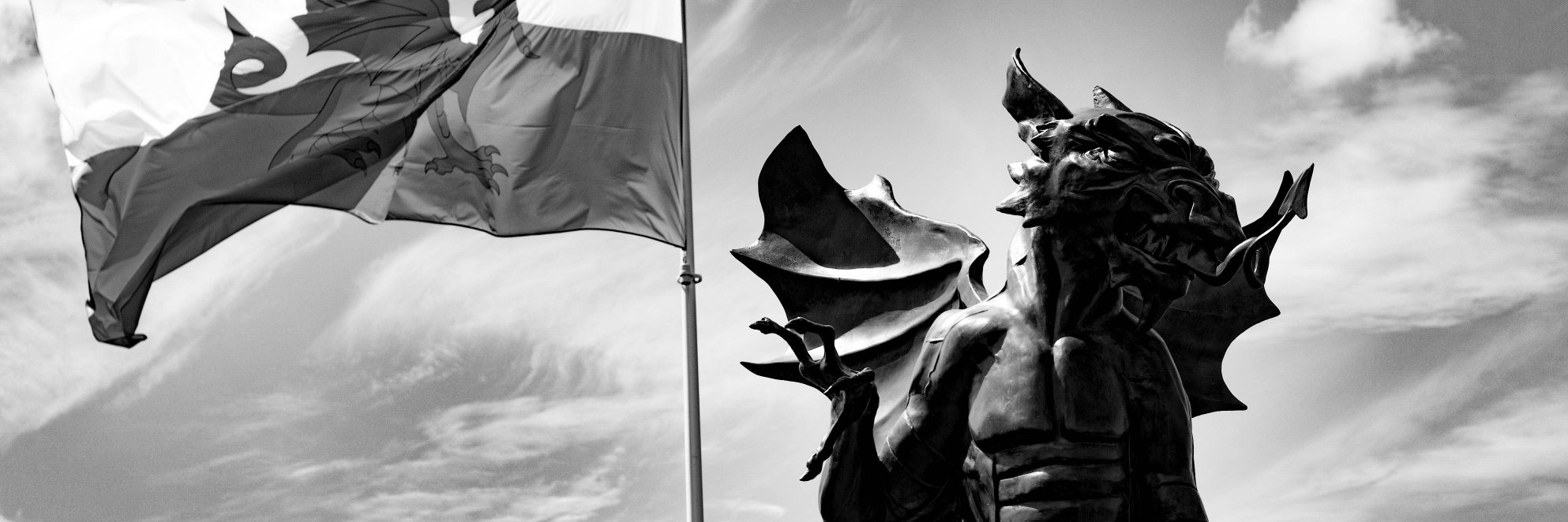 RHQC's profile banner image