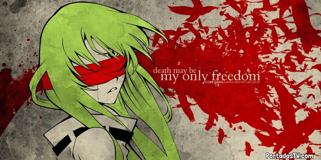 seek your eyes banner