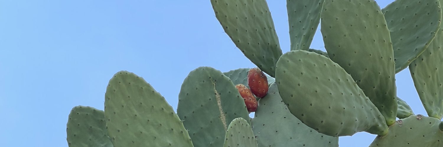 jeejia's profile banner image
