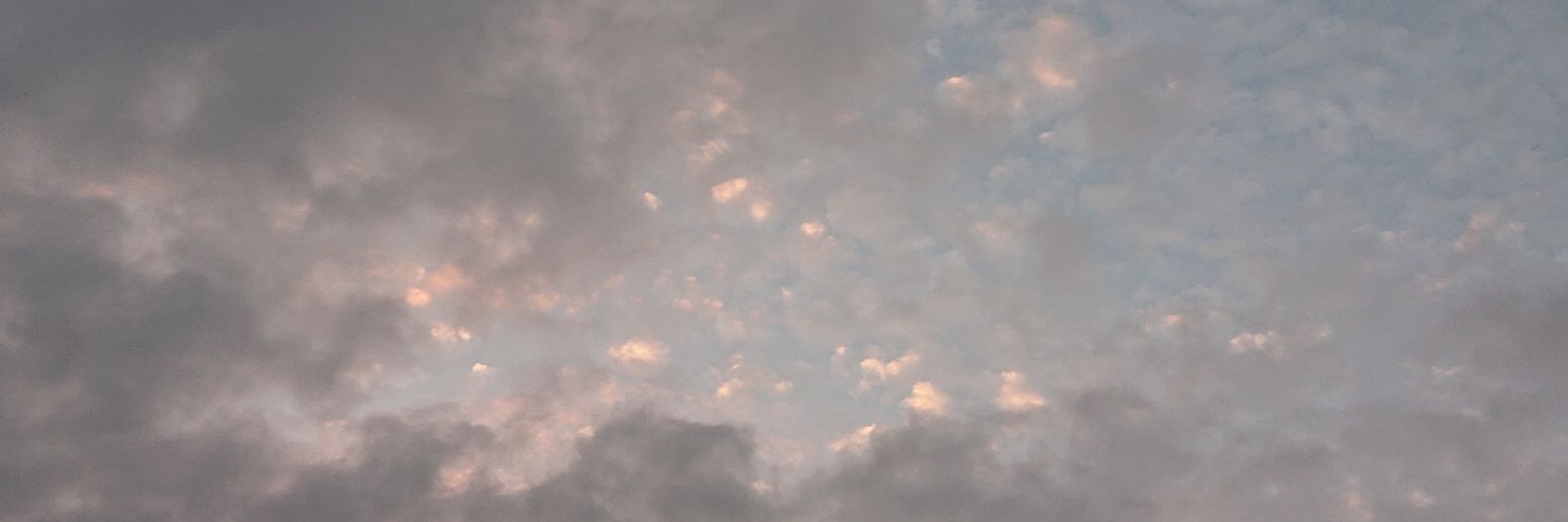 MeG__L's profile banner image