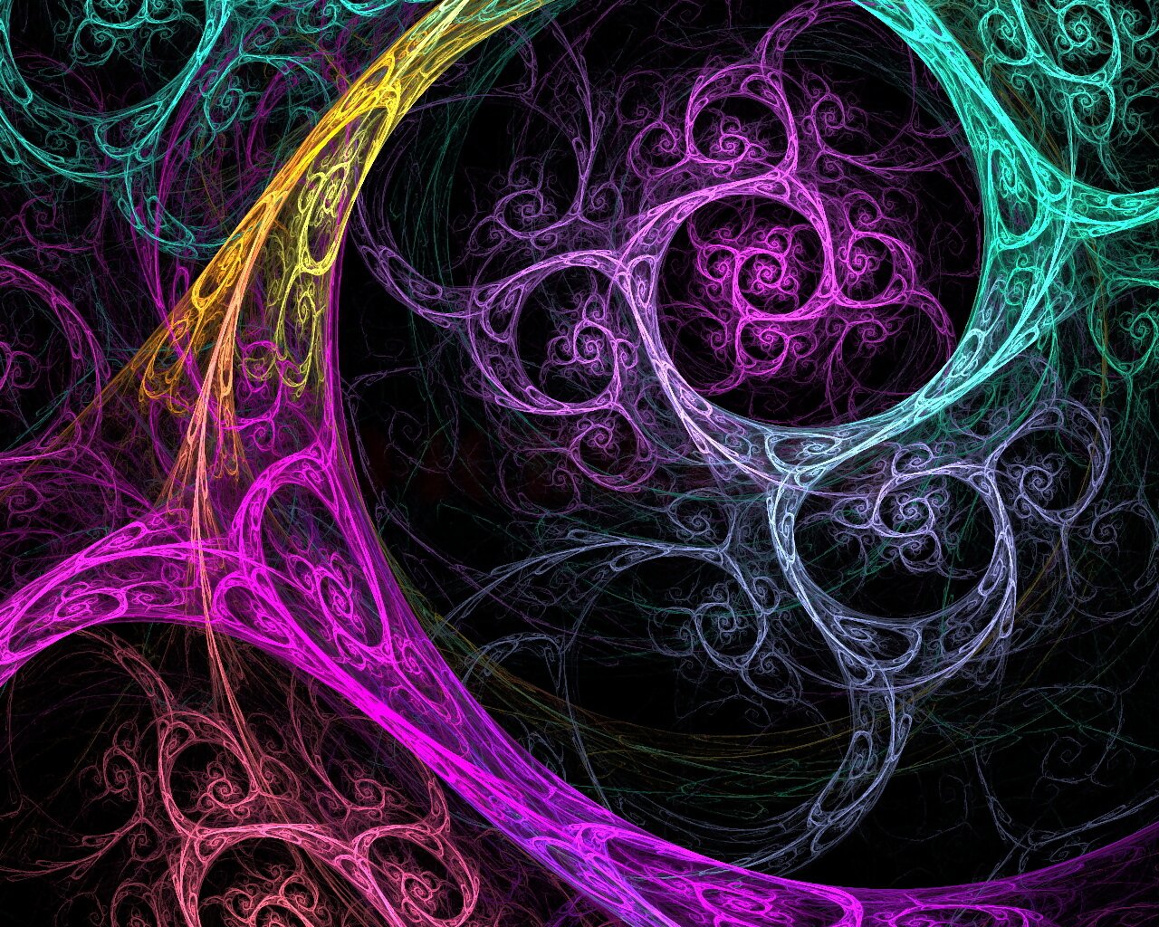 sofiafoxxs's profile banner image